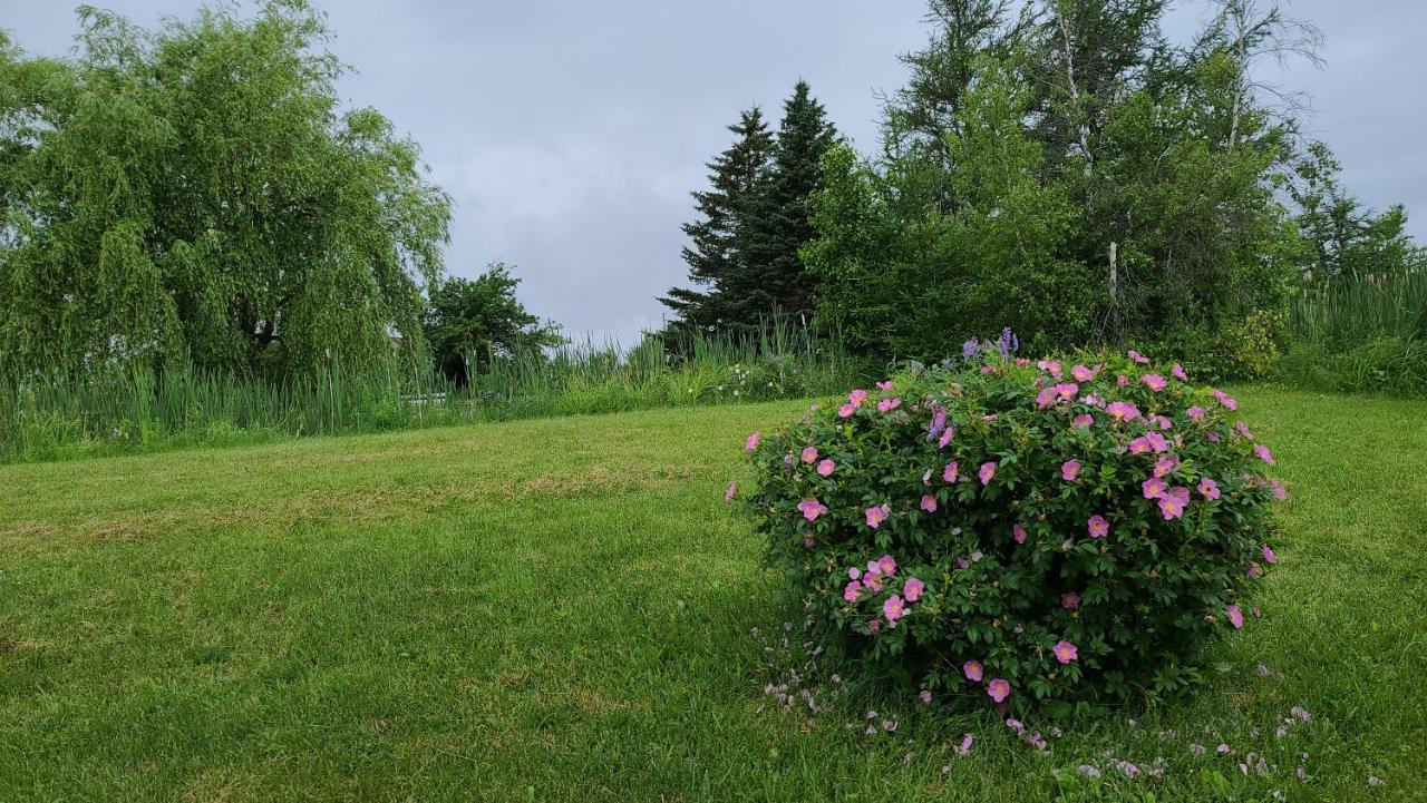 Bouctouche Bay Inn Eksteriør bilde